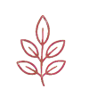 icon-leaf
